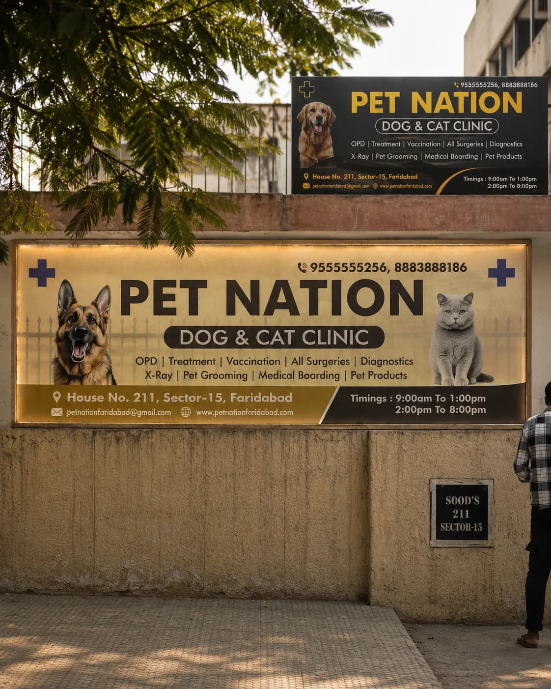 Pet Nation Front View